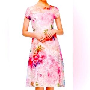 NEW Lace Dress/ includes chiffon cape Size 12